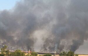 Набагато менше українського зерна вдасться вкрасти з полів біля Маріуполя, зазначив Андрющенко