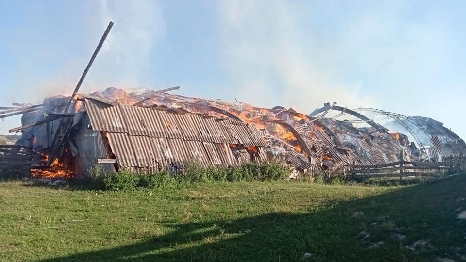 На фермі виникла пожежа, інформацію про можливих постраждалих уточнюють