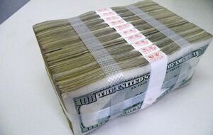 Сакварелідзе показав пачку грошей