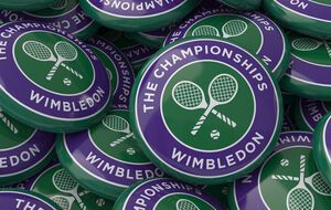 Организаторы Wimbledon планируют подать апелляцию