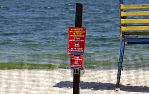 На пляжах в Одессе установили сети, заграждающие путь к морю