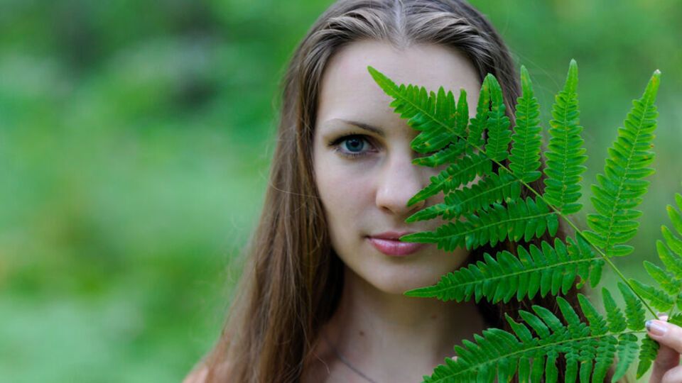 Папороть є одним із символів свята Івана Купала