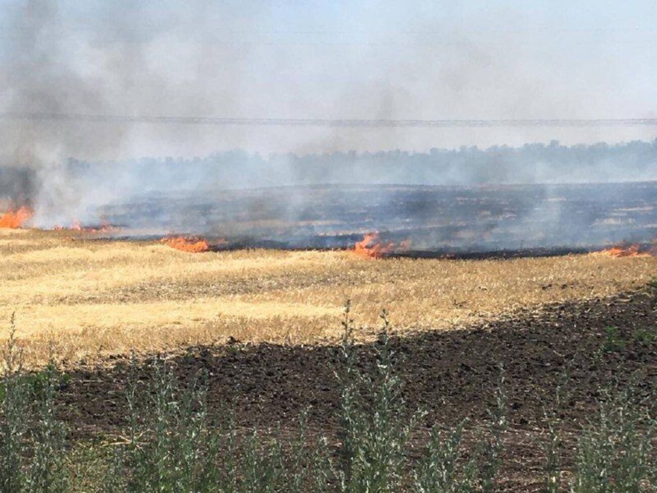 Через обстріли окупантів в Україні горять поля із пшеницею