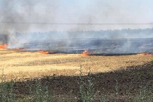 Через обстріли окупантів в Україні горять поля із пшеницею