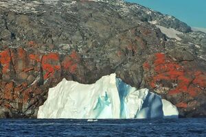 Оранжевые лишайники могут помочь ученым синтезировать полезные вещества, рассказали полярники станции "Академик Вернадский"