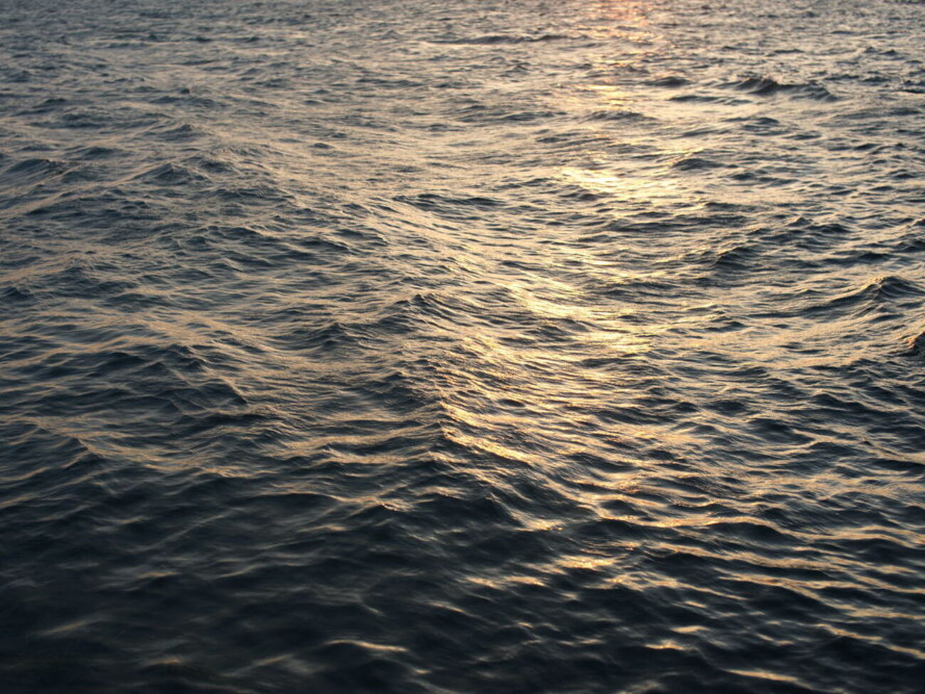 Пляжі в Одесі та всій Одеській області цього року відвідувати заборонили