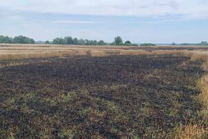 В ходе боевых действий в Украине оккупанты периодически наносят удары по полям с урожаем