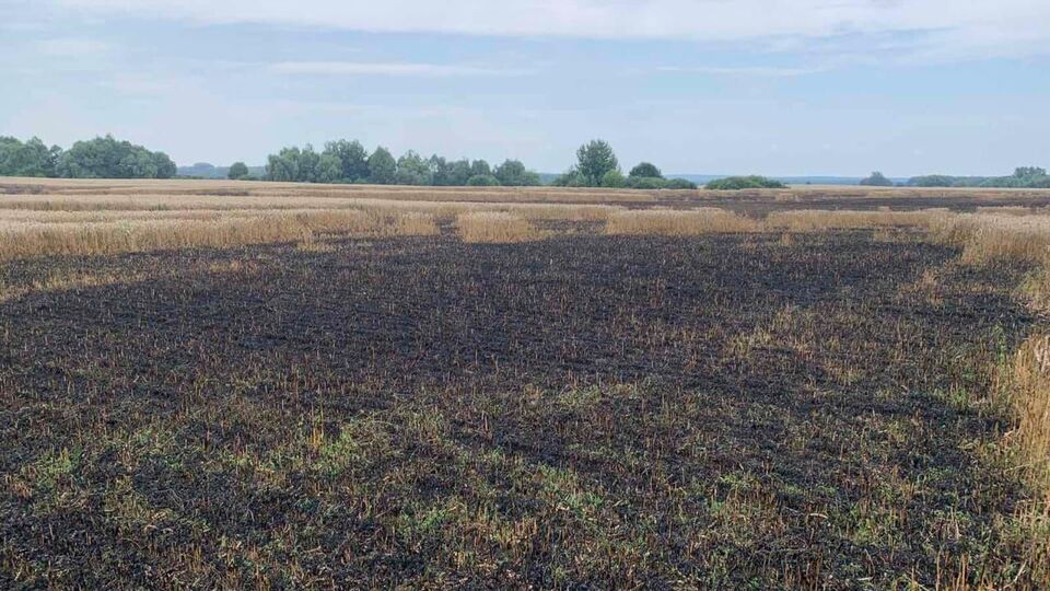 Під час бойових дій в Україні окупанти періодично завдають ударів по полях з урожаєм