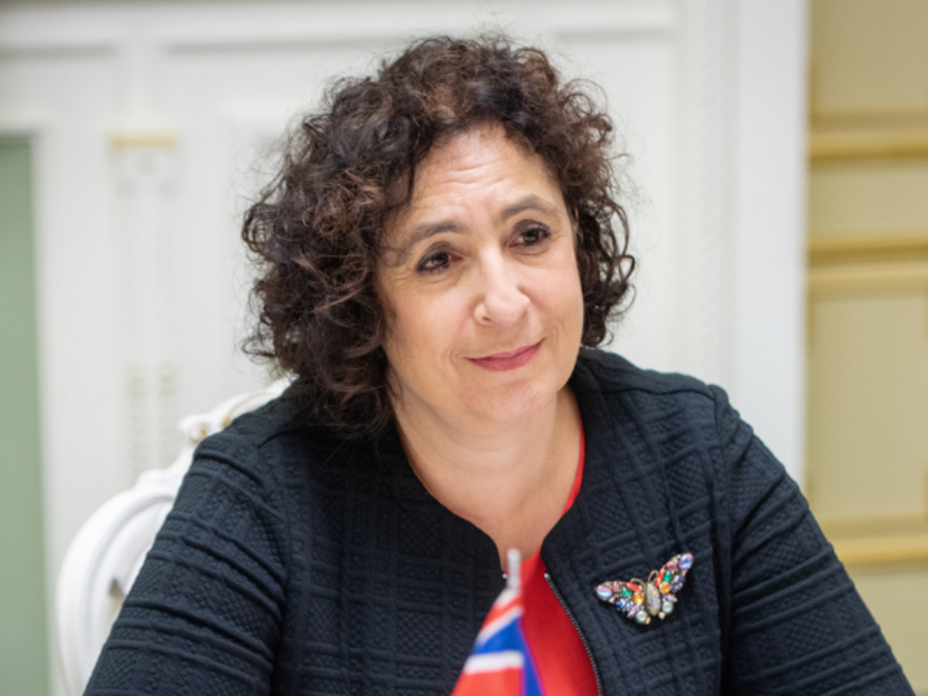 Сіммонс: Питання&nbsp;України має підтримку всіх сторін у Великобританії