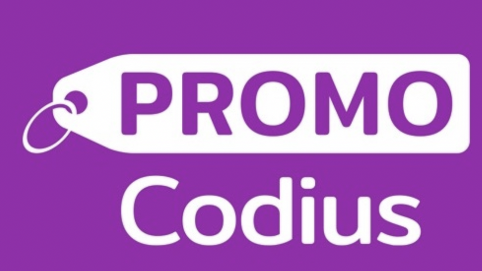 Главный успех проекта Promocodius в том, что ему удалось сохранить всю команду и полностью перестроить рабочий процесс, а также вернуть старых партнеров и найти новых