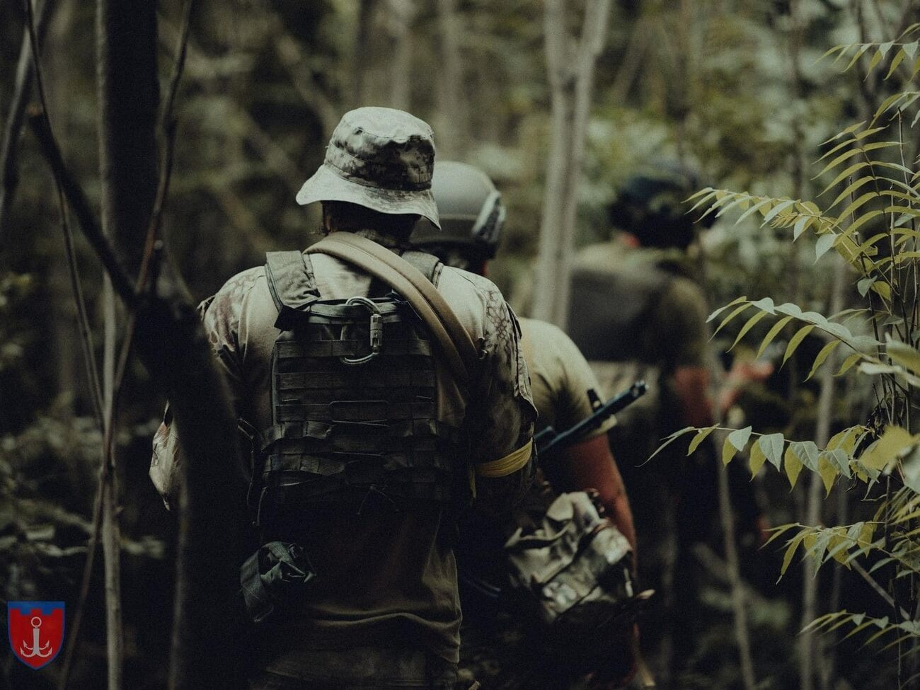 Украинские защитник на юге дважды вели наступление вчера