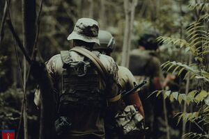 Украинские защитник на юге дважды вели наступление вчера