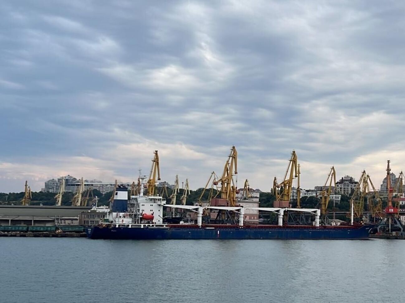 Дві третини вантажів на суднах, які застрягли в морських портах України, &ndash; продовольство, зазначили в АМПУ