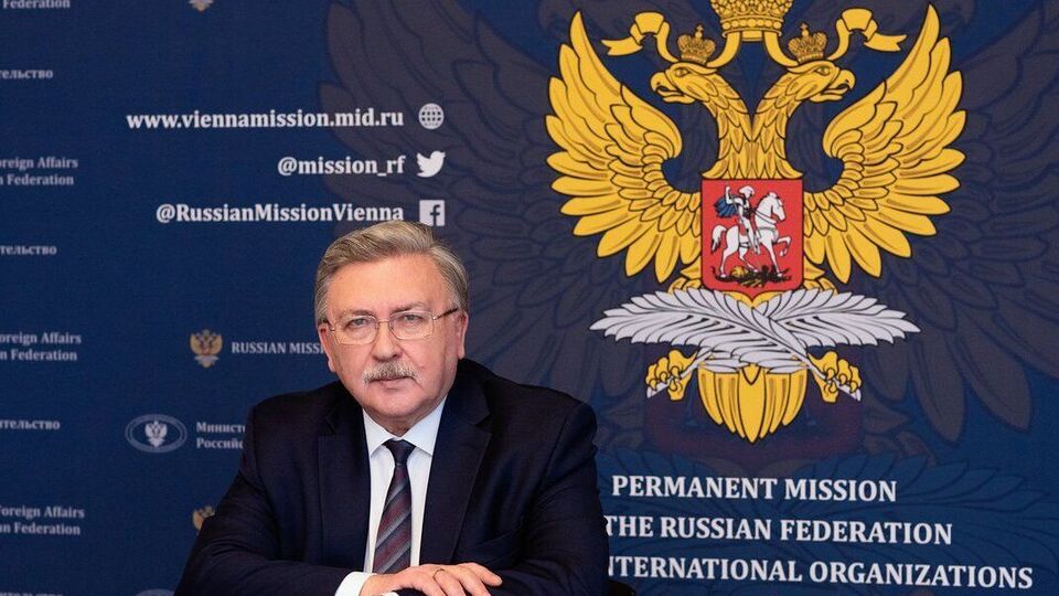 Російський дипломат Ульянов у своєму блозі розмірковував про "гнид"