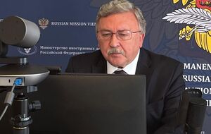 Ульянова вызвали в МИД Австрии на 21 августа