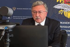 Ульянова викликали в МЗС Австрії на 21 серпня