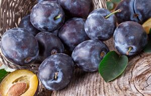 Для трьох півлітрових банок шоколадно-сливової пасти знадобиться 2 кг злив