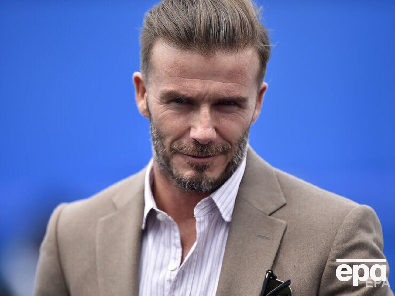 Бекхэм начал заниматься пчеловодством в 2020 году