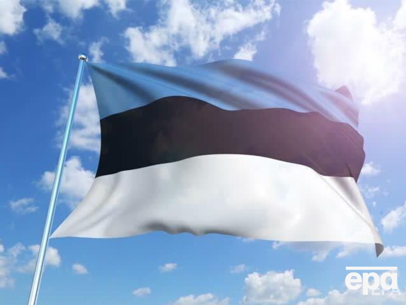 Заявление Рейнсалу опубликовал МИД Эстонии