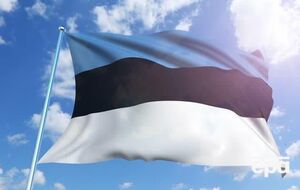 Заявление Рейнсалу опубликовал МИД Эстонии