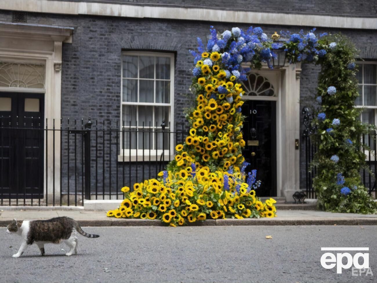 Багато соняшників та українських прапорів. Джонсон – у Києві, фон дер Ляєн – на мітингу. Як у світі святкували День Незалежності України. Фоторепортаж