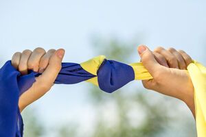 86% считают, что украинский язык должен быть единственным государственным языком