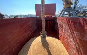 "Зерновое соглашение" было подписано в конце июля