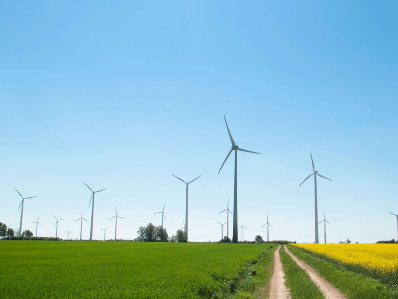 Инвесторы в возобновляемые источники энергии до войны вложили в Украину $11 млрд