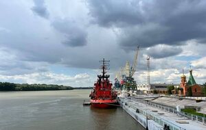 С марта через дунайские порты перевезено более 4 млн тонн зерна