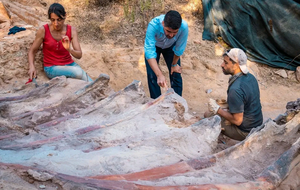 Ученые проводят раскопки на месте нахождения крупнейшего динозавра, жившего на территории современной Европы