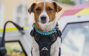 Патрону в июле исполнилось три года