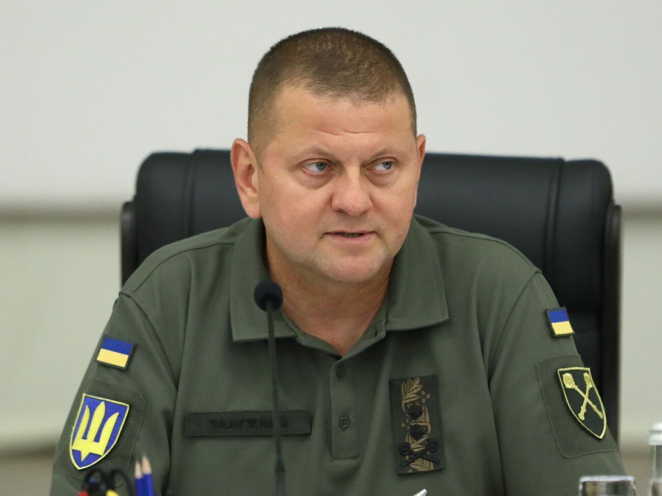 Залужного призначили головнокомандувачем ЗСУ влітку 2021 року