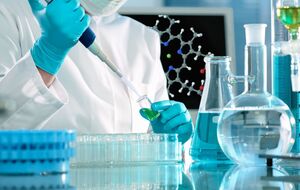 В Германии расследуют возможную причастность местной фирмы к производству яда "Новичок"