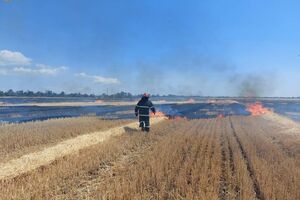 Оккупанты периодически наносят удары по полям с урожаем, вследствие чего происходят пожары