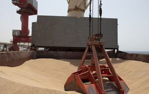 23 тыс. тонн украинской пшеницы по Всемирной продовольственной программе ООН уже прибыли в порт Джибути и будут доставлены жителям Эфиопии, отметил Зеленский