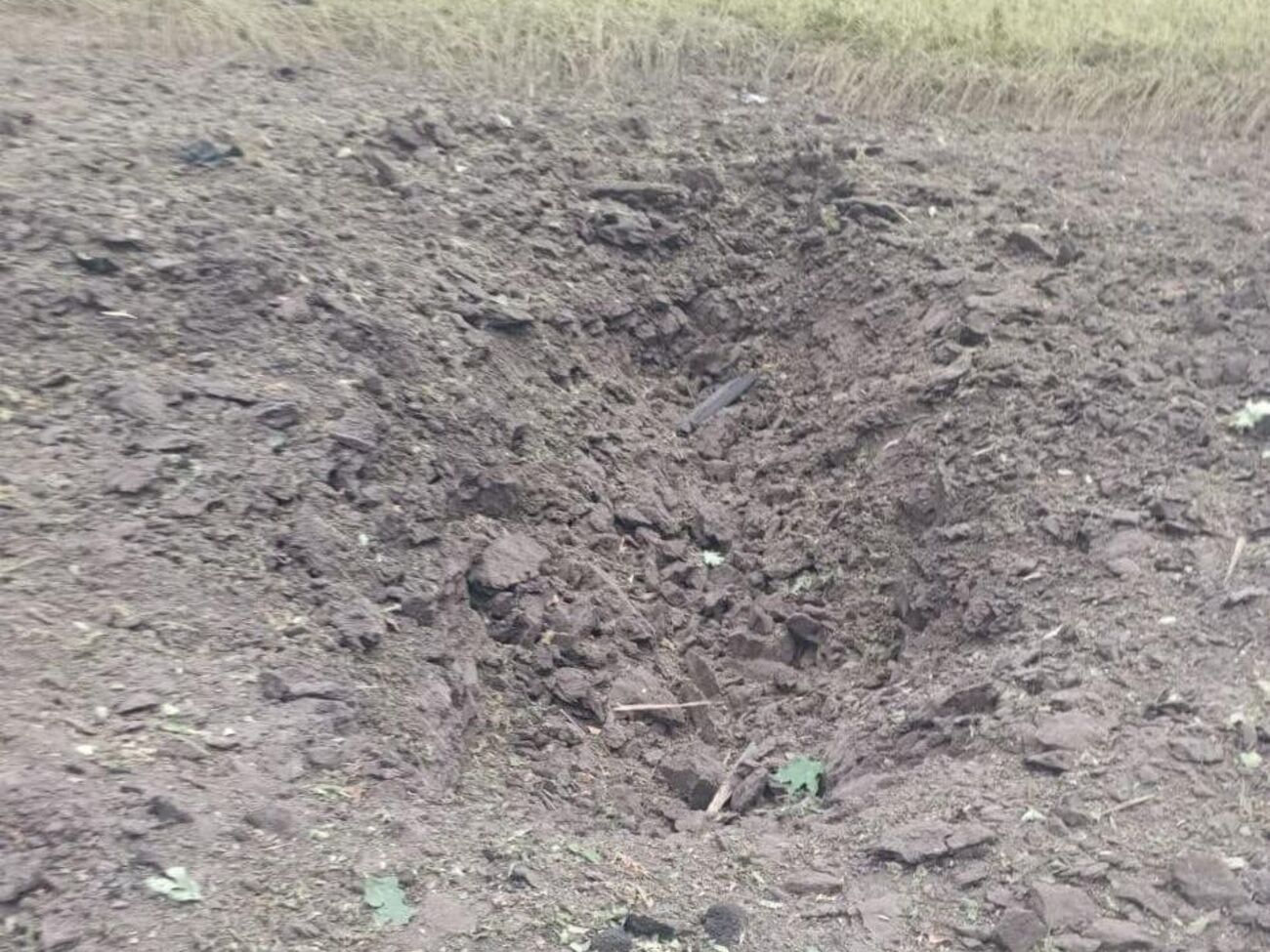 Російські військові обстріляли територію Сумської області з мінометів та ствольної артилерії, зазначив Живицький