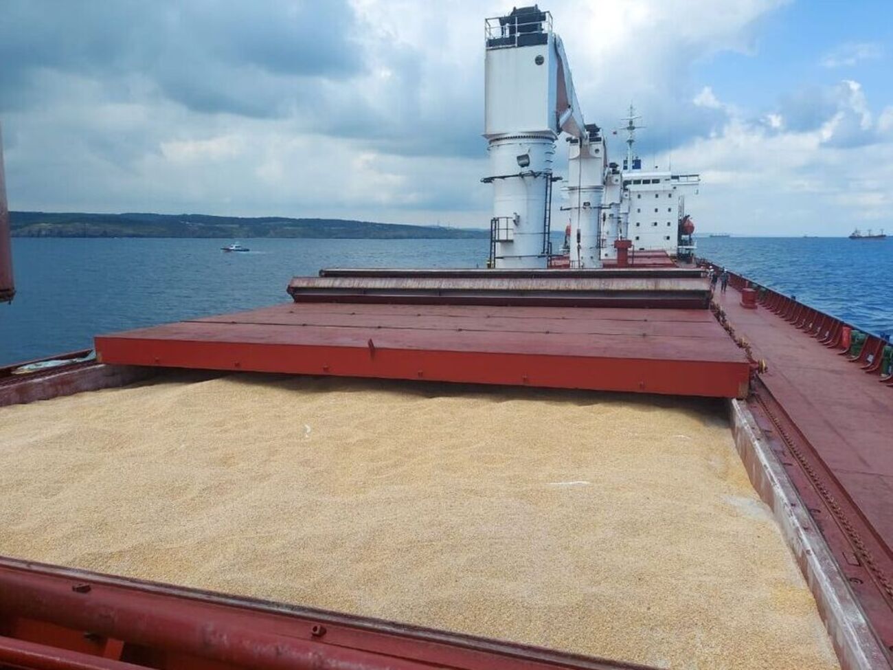 Украина готова загружать новые суда зерном на экспорт
