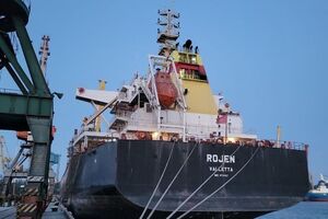 На борту трех балкеров Navi Star, Rojen и Polarnet находятся 57 тыс. тонн украинской кукурузы