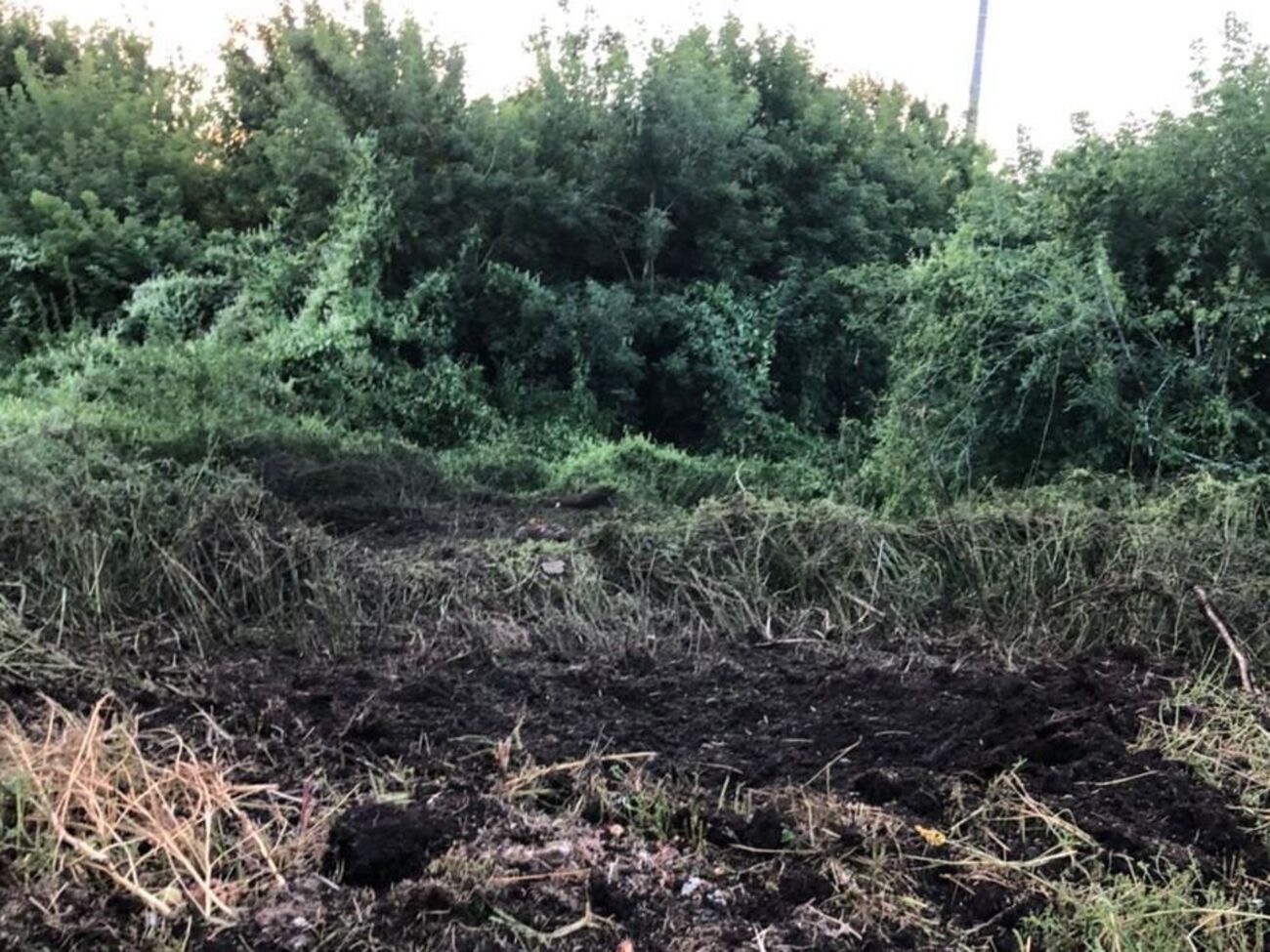 5 августа враг открывал артиллерийский огонь пять раз по территориям Середино-Будской, Эсманской и Глуховской общин, отметил Живицкий