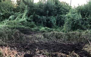 5 августа враг открывал артиллерийский огонь пять раз по территориям Середино-Будской, Эсманской и Глуховской общин, отметил Живицкий