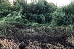 5 серпня ворог відкривав артилерійський вогонь п'ять разів по територіях Середино-Будської, Есманської та Глухівської громад, зазначив Живицький