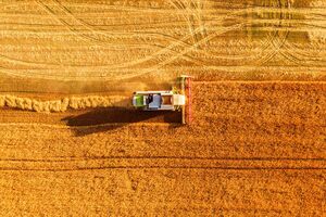 В ООН не беруться прогнозувати подальшу динаміку цін на продовольство