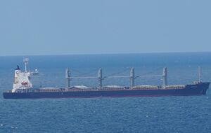 Navi Star направляется в Ирландию