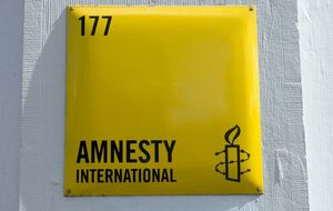 The Times призвала прекратить финансирование Amnesty International