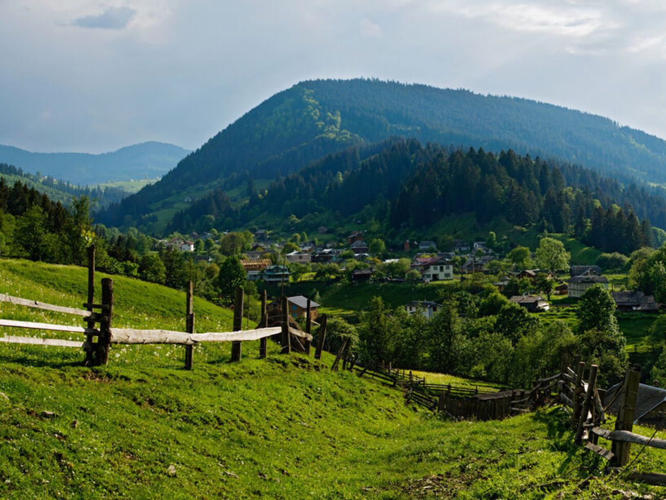 В территорию Карпатского природного парка могут включить 1075,7 га земель государственного Делятинского лесхоза