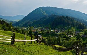 В территорию Карпатского природного парка могут включить 1075,7 га земель государственного Делятинского лесхоза