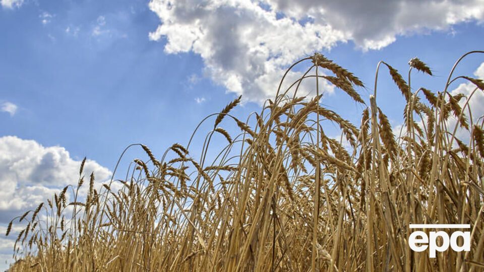 Більшість замінованих посівів розташовані на півночі області