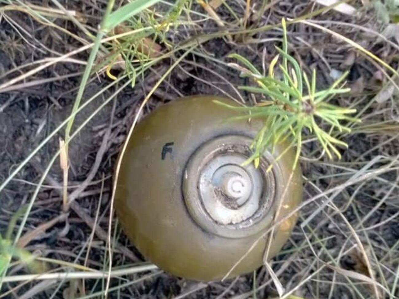 Понад 30% території України вважають потенційно забрудненою різними боєприпасами і вибуховими пристроями, зазначили у ДСНС