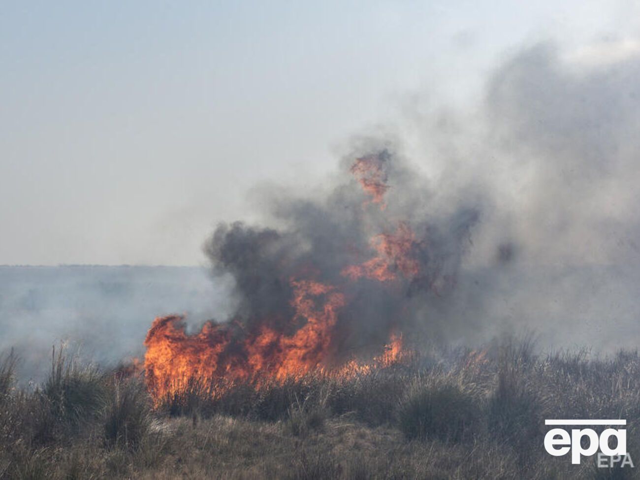 В Україні готуються до можливого розповсюдження вогню