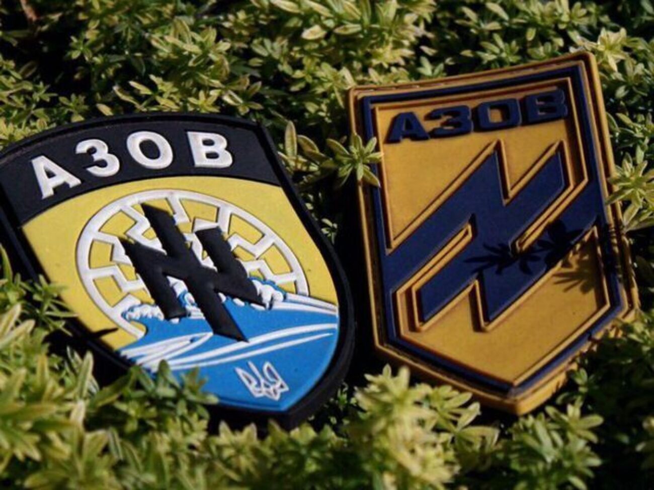 Зображення шеврона полку "Азов" офіційно зареєстровано в Українському інституті інтелектуальної власності